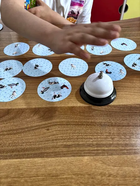 Selvi Özel Eğitim Keçiören-Yeşiltepe şubesinde dikkat oyunu