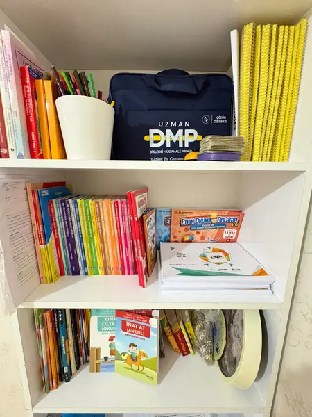 DMP Plus disleksi müdahale programı seti ve okuma kitapları